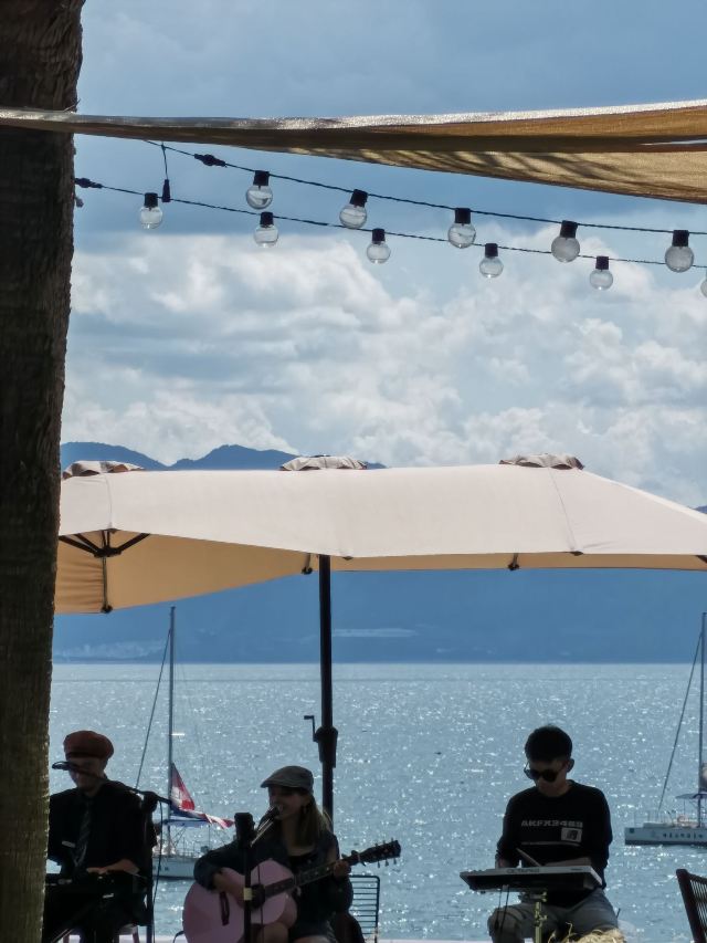 抚仙湖国际度假小镇湖畔森林公园旅行图片 1