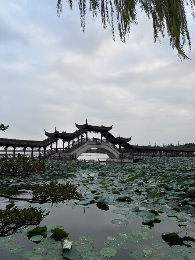 锦溪古镇旅行图片 8