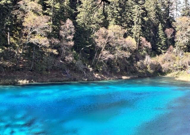 九寨沟景区五彩池观景台旅行图片 1