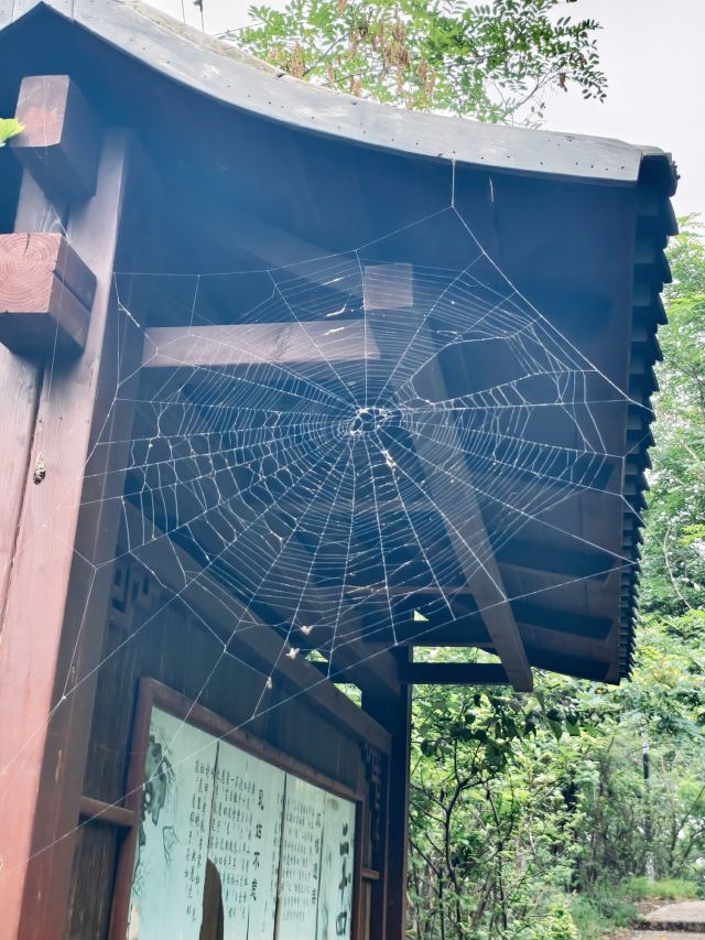 白云山山体公园旅行图片 4