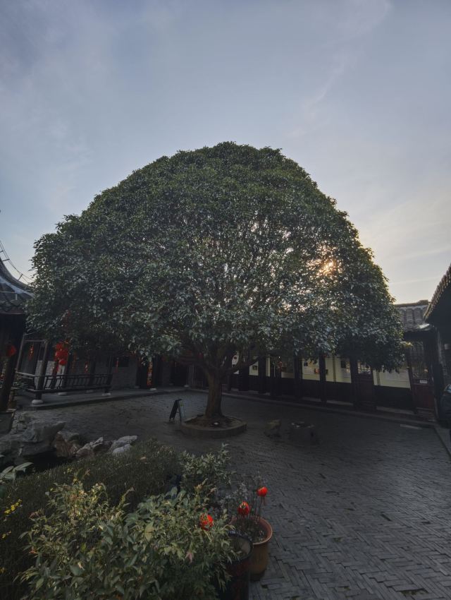 溱潼古镇旅游区旅行图片 1