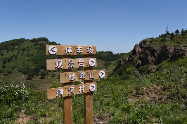 玫瑰谷旅行图片 3