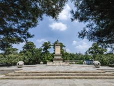 青龙寺-西安-大松树叶子