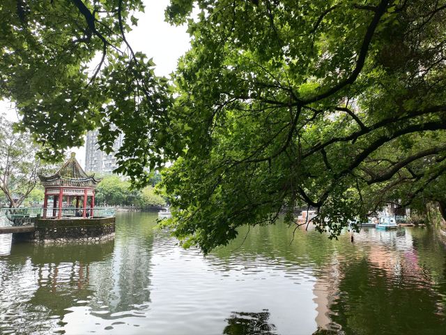 玉林市人民公园旅行图片 6