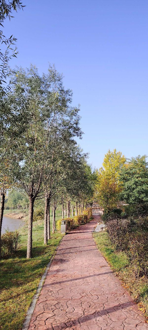 平安心湿地公园旅行图片 2