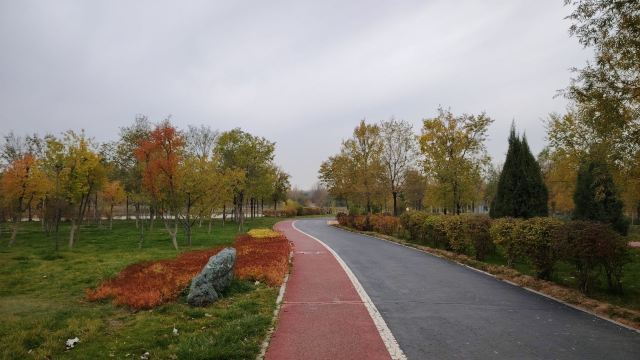 平安心湿地公园旅行图片 13