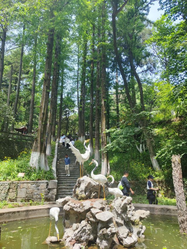 芦花荡公园-园门旅行图片 7