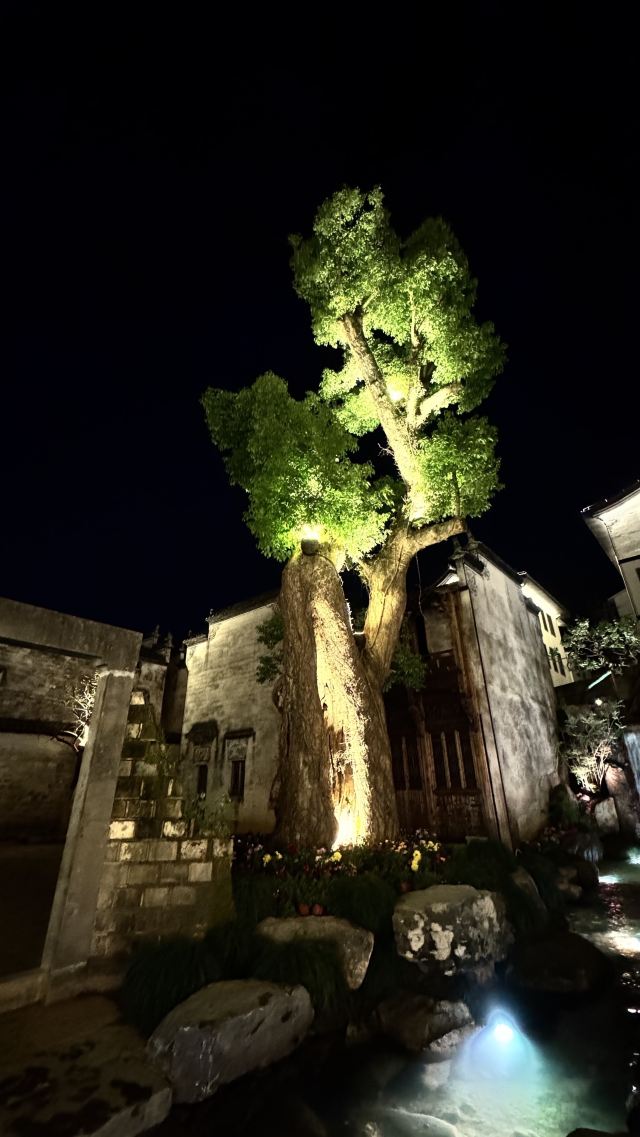 婺源弦高城景区旅行图片 5