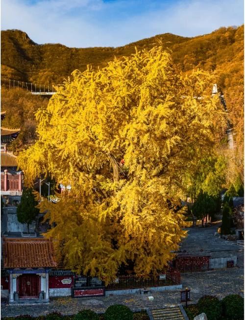 神垕古镇旅行图片 1
