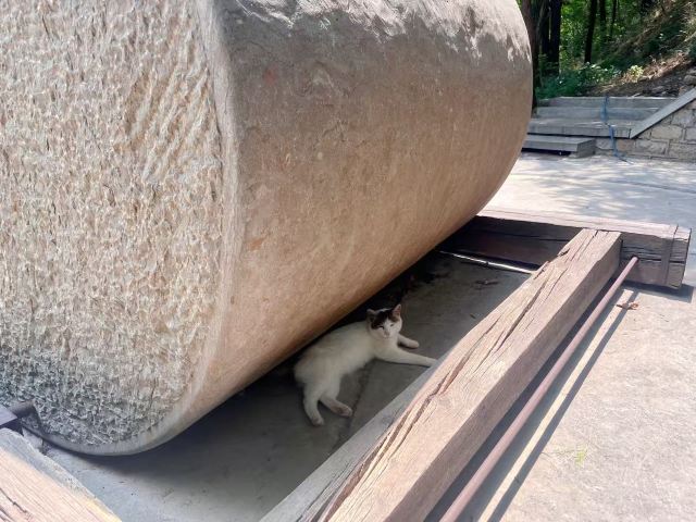 四门塔旅行图片 1