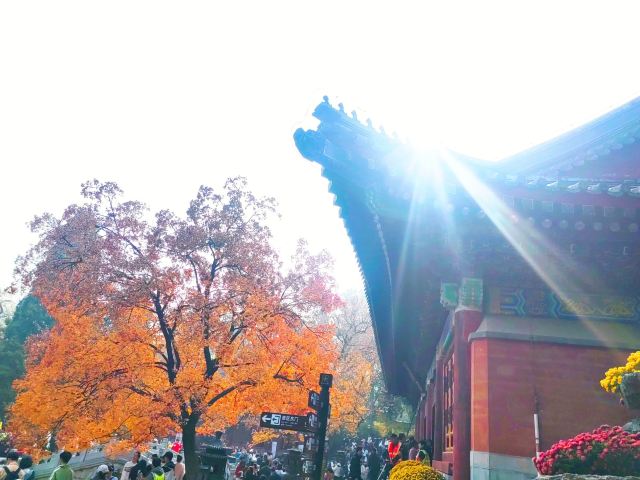 香山公园旅行图片 4