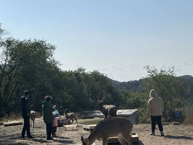 白云山山体公园旅行图片 7