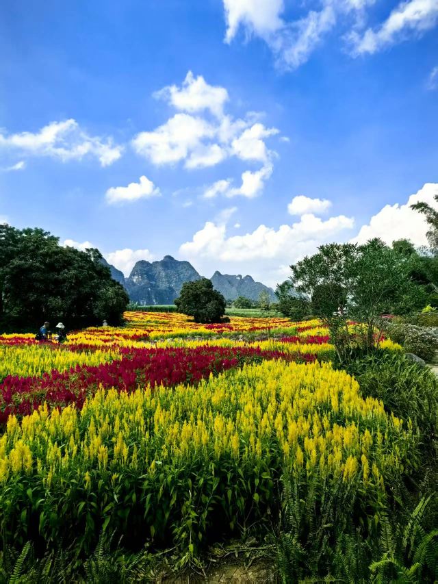 峒那屿湾旅行图片 3