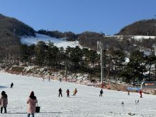 利川市-鹏少0125