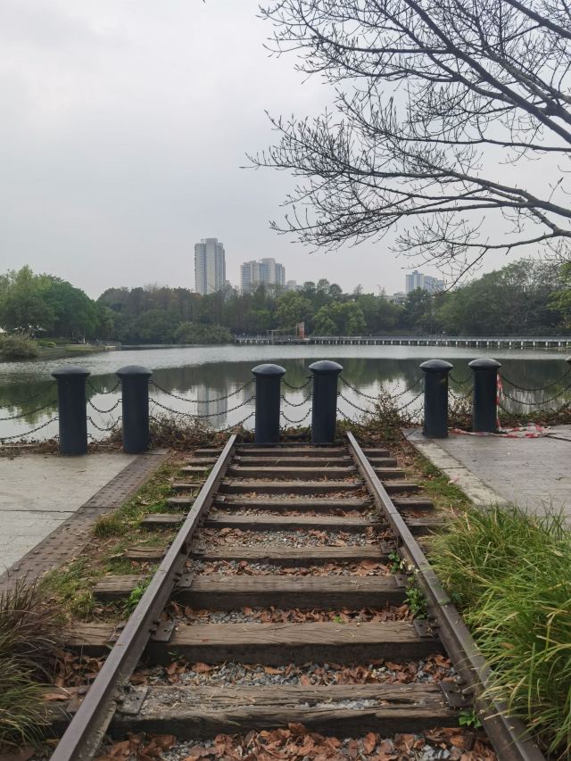 岐江公园旅行图片 3