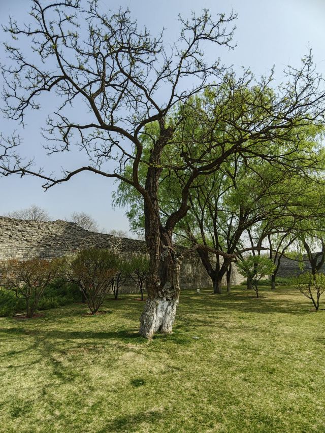 北京明城墙遗址公园旅行图片 4