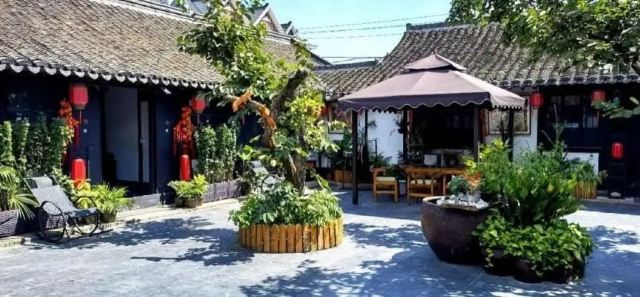 罗店古镇旅行图片 3