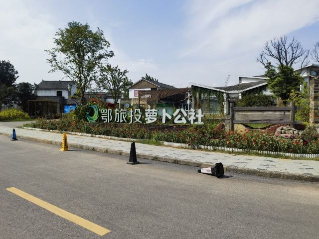 湖北文旅萝卜公社旅行图片 8