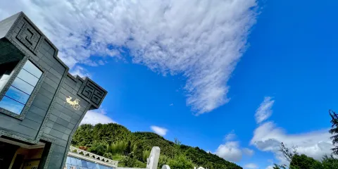 迎駕酒文化博物館