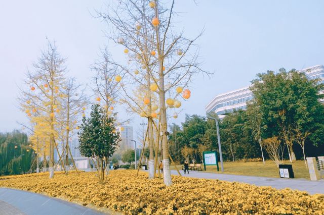 雍湖公园旅行图片 2