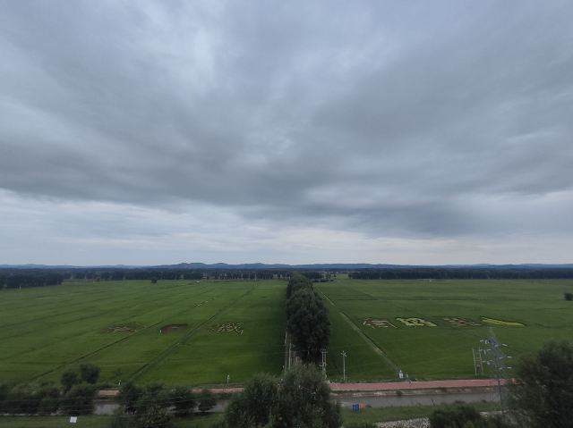 蒙望敖包山稻田公园旅行图片 1