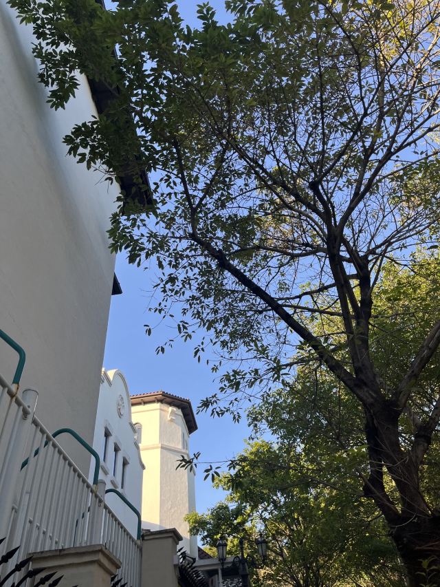 尖岗山公园旅行图片 1