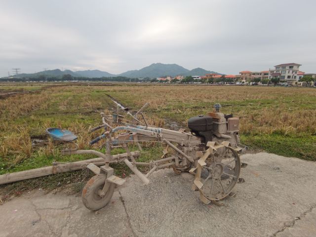 幸福花海旅行图片 3