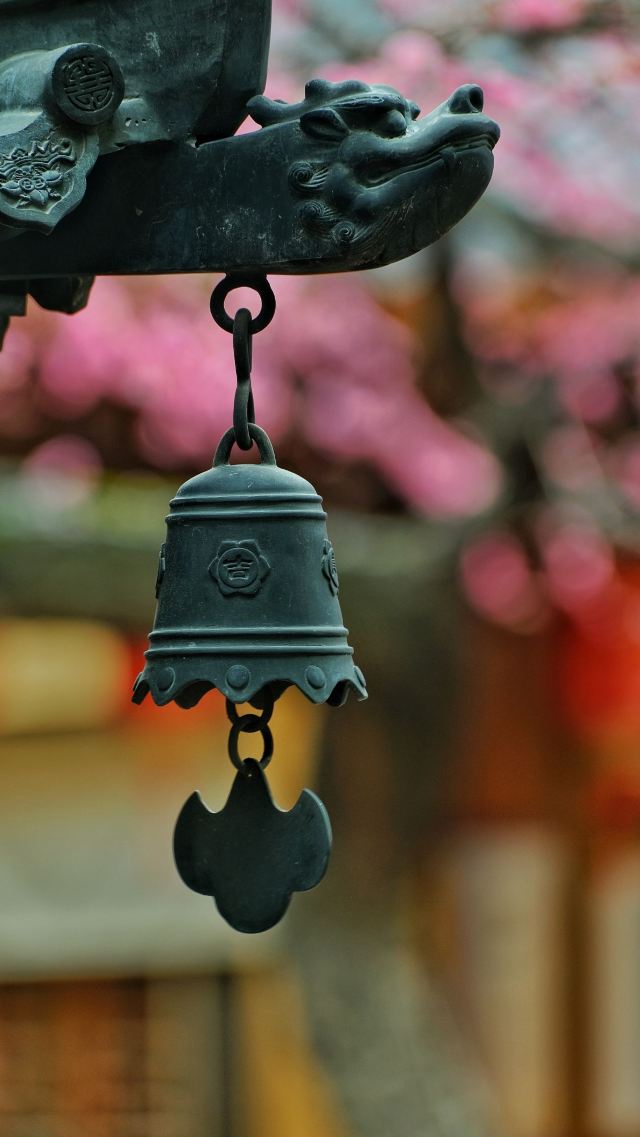 湖州铁佛寺旅行图片 10