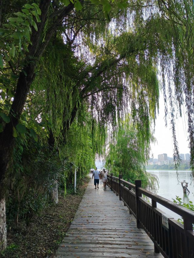 东洲岛旅行图片 2