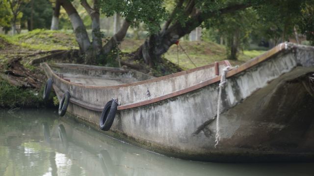 三垟湿地保护区旅行图片 3