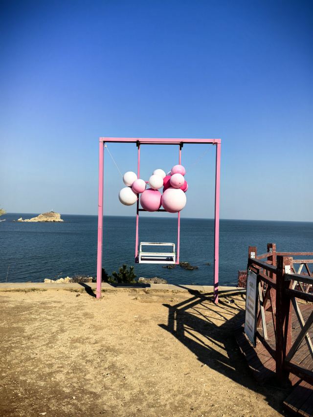 养马岛林间花海旅行图片 3
