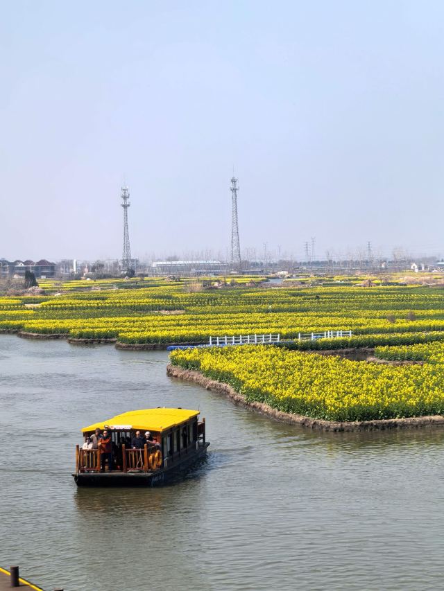 千垛景区旅行图片 3