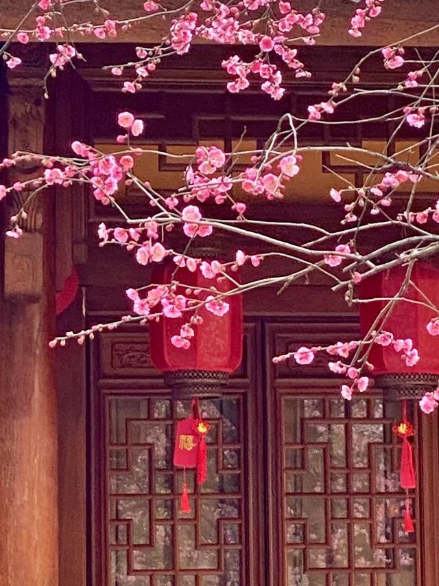 湖州铁佛寺旅行图片 4