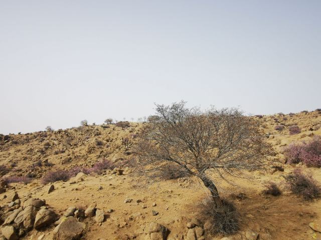 风蚀冰臼地质公园旅行图片 8