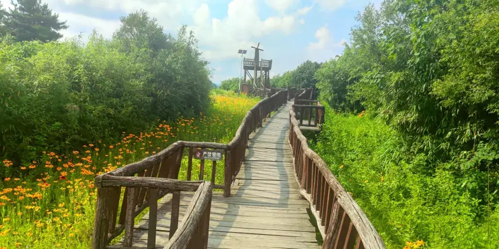 永安旅遊