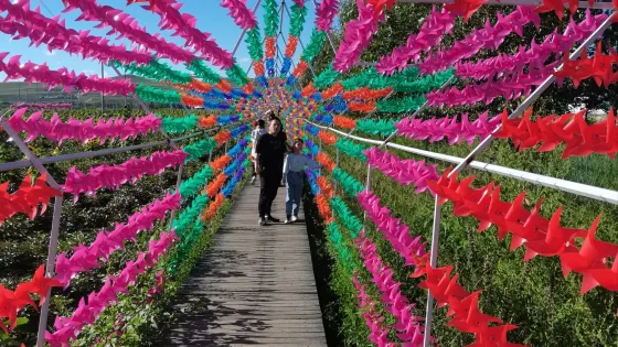 白鹿花苑