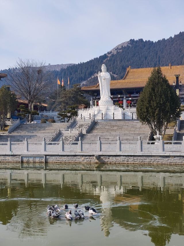 龙兴寺旅行图片 2