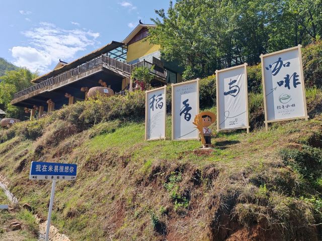 新山梯田旅行图片 4