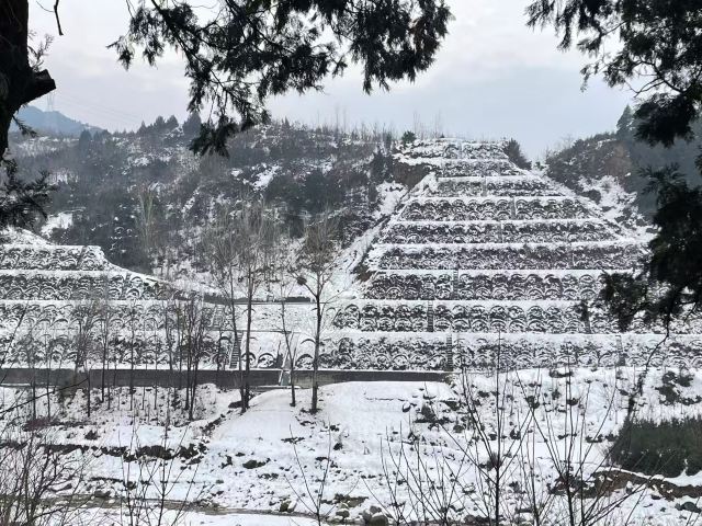 水陆庵旅行图片 4
