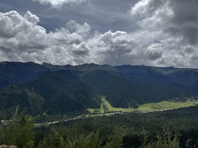 鲁朗林海风景区旅行图片 8