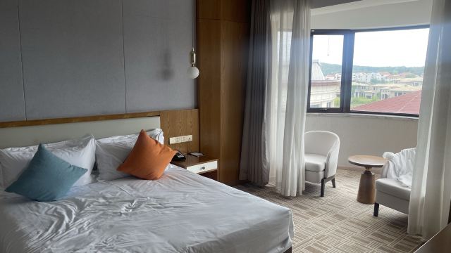 养马岛林间花海旅行图片 1