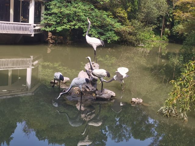 啬园旅行图片 6