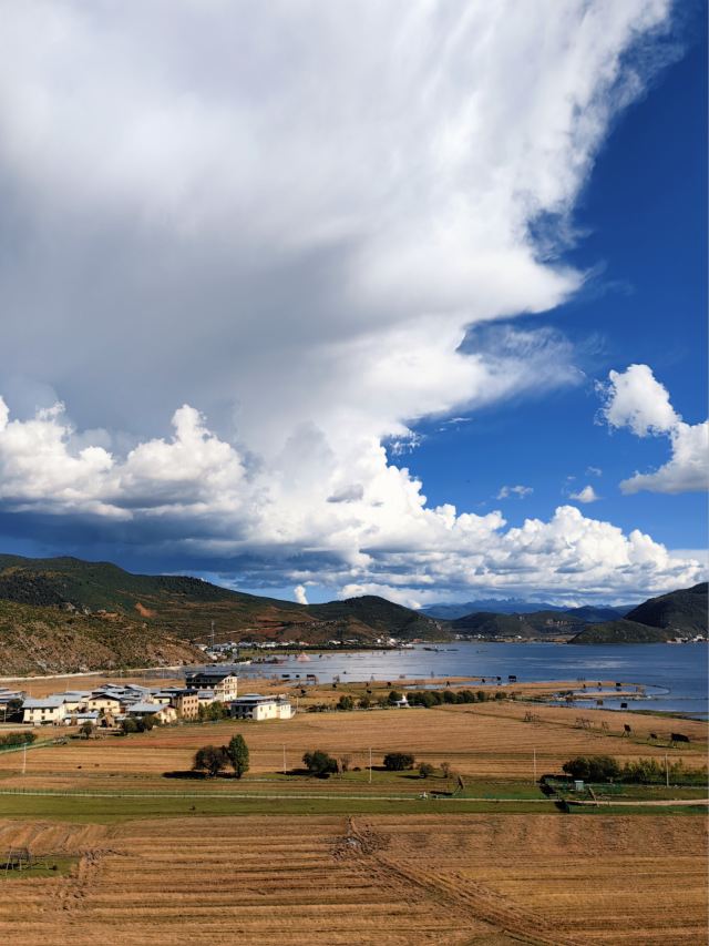 纳帕海大草原旅游景区旅行图片 3