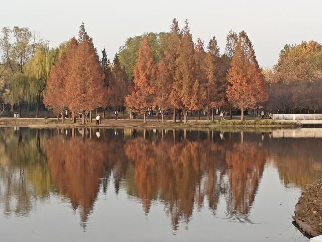 石家庄植物园旅行图片 2