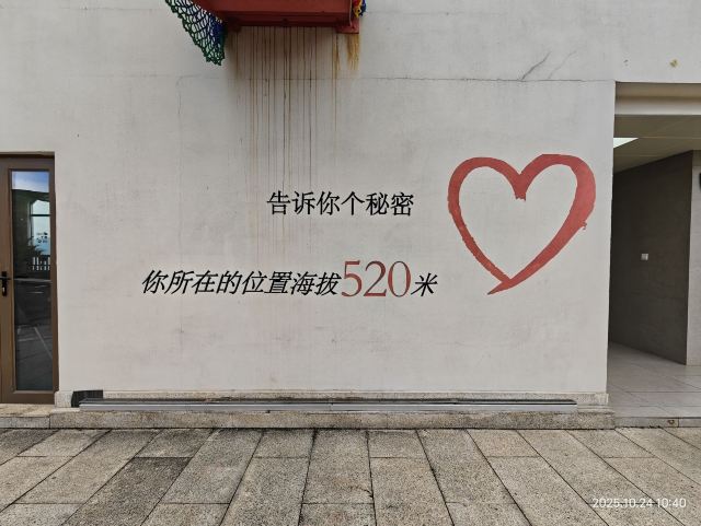莫干山江南瑶坞旅游度假区旅行图片 9