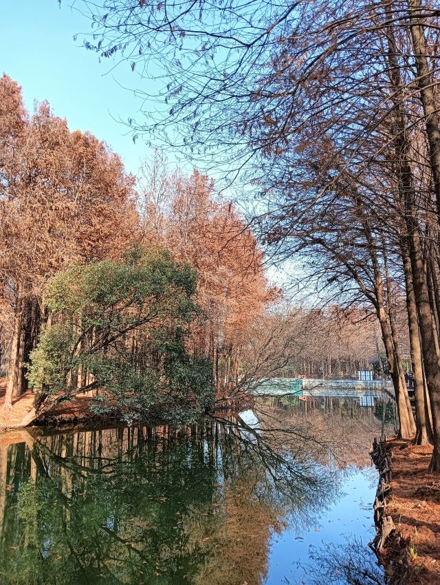 横沔公园旅行图片 11
