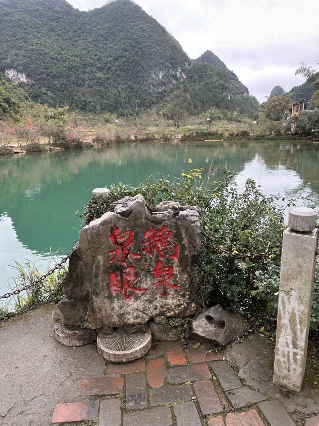 鹅泉泉眼旅行图片 1