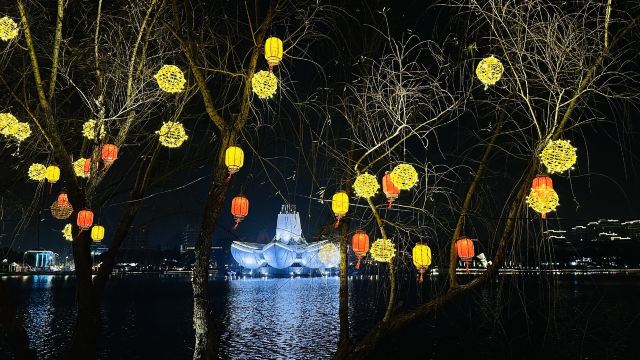 金平湖灯秀旅行图片 3