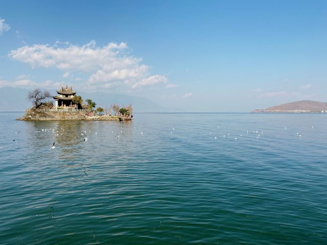 小普陀旅行图片 3