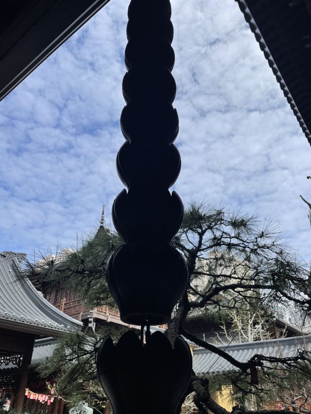 玉佛禅寺旅行图片 11